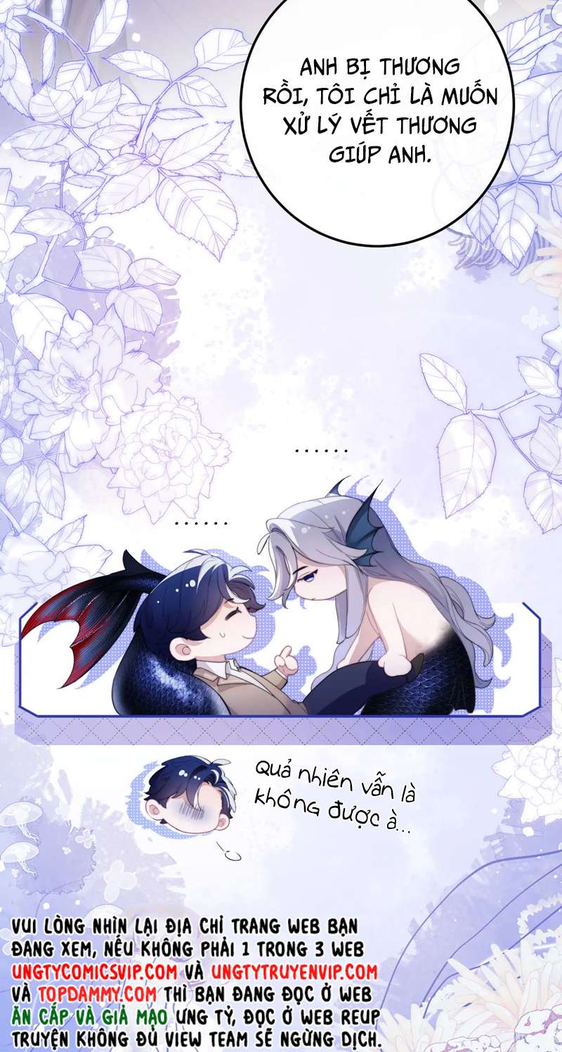 Desharow Nhân Ngư Chap 3 - Trang 2