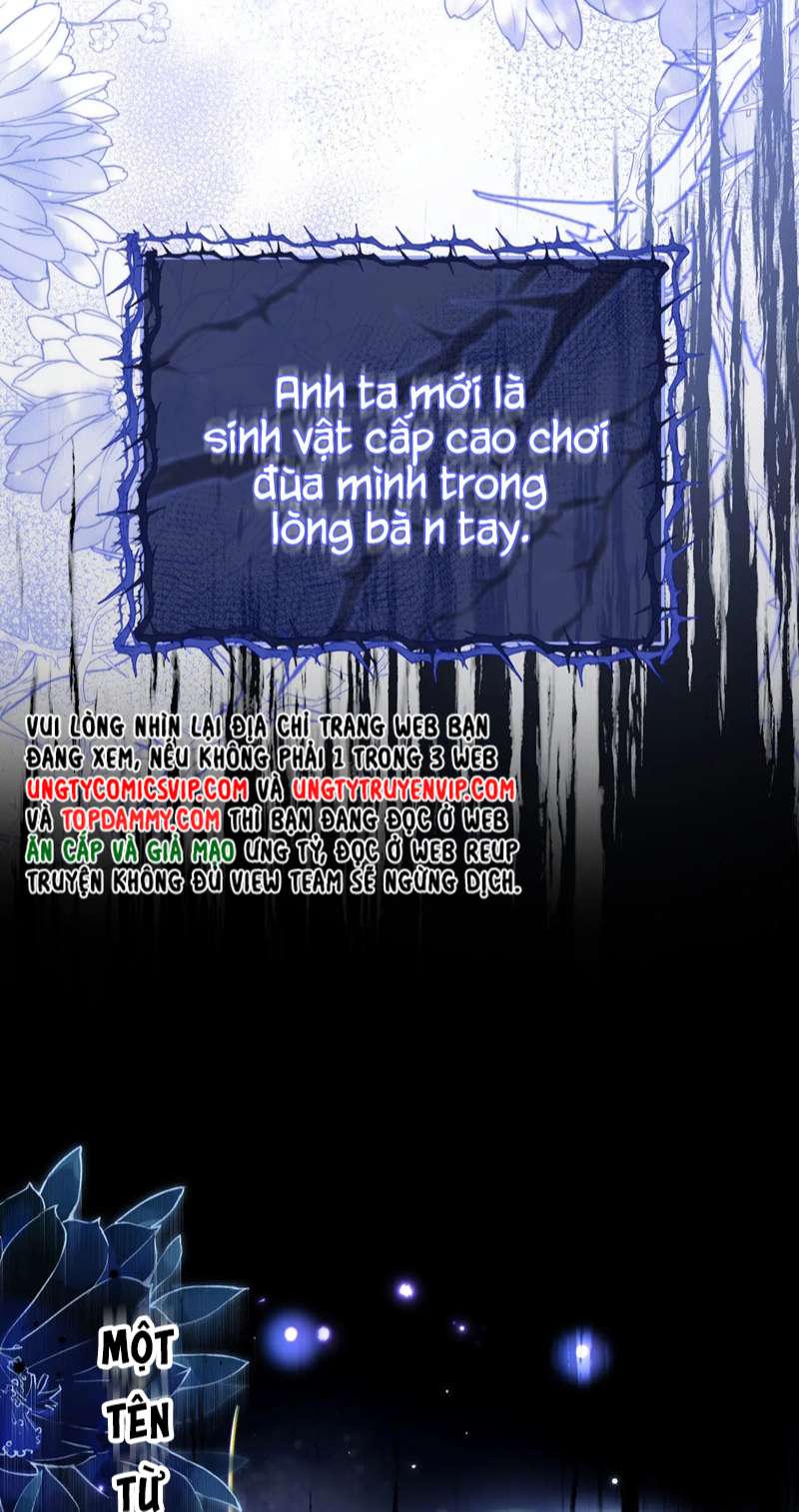 Desharow Nhân Ngư Chap 3 - Trang 2