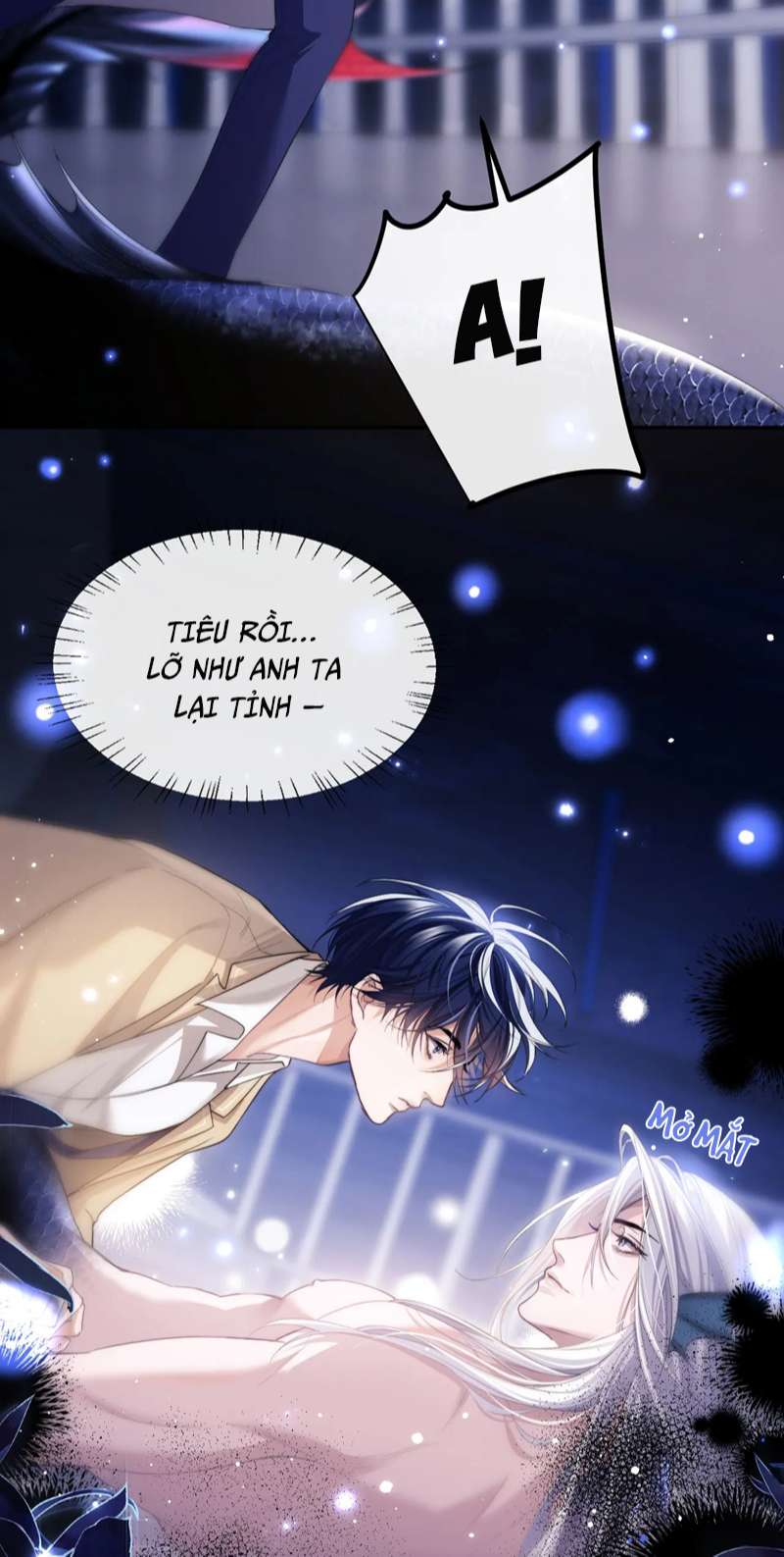 Desharow Nhân Ngư Chap 3 - Trang 2