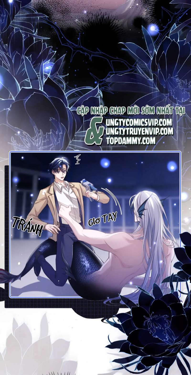 Desharow Nhân Ngư Chap 3 - Trang 2