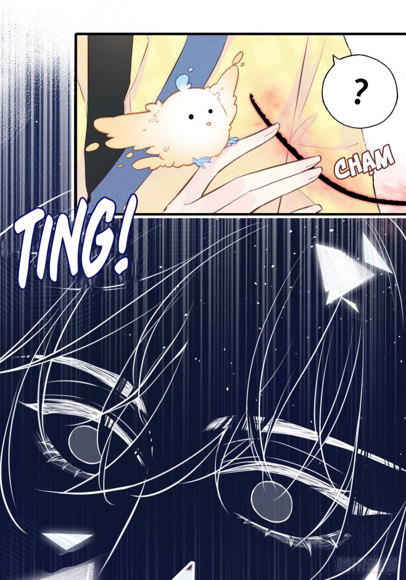 Anh Ấy Chưa Từng Rơi Xuống Chap 4 - Trang 4
