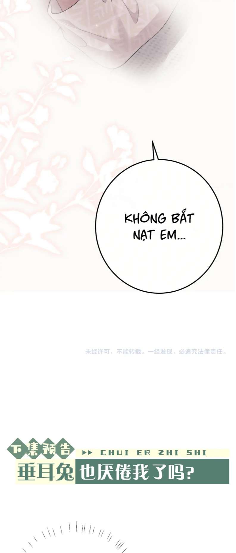 Chấp Sự Thỏ Cụp Tai Chapter 42 - Trang 4