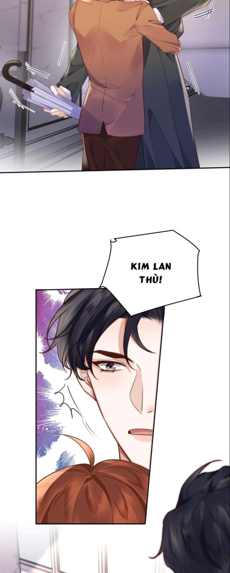 Tổng Tài Định Chế Tư Nhân Chapter 51 - Trang 4