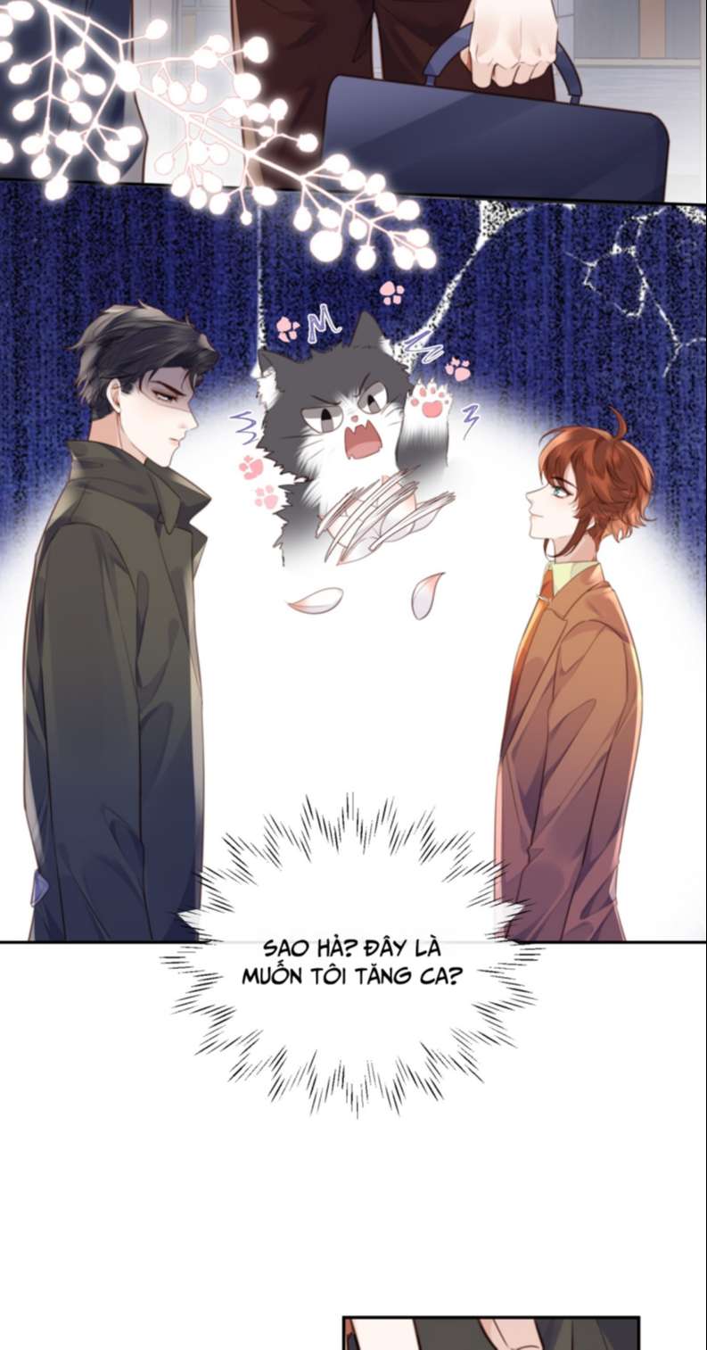 Tổng Tài Định Chế Tư Nhân Chapter 51 - Trang 4