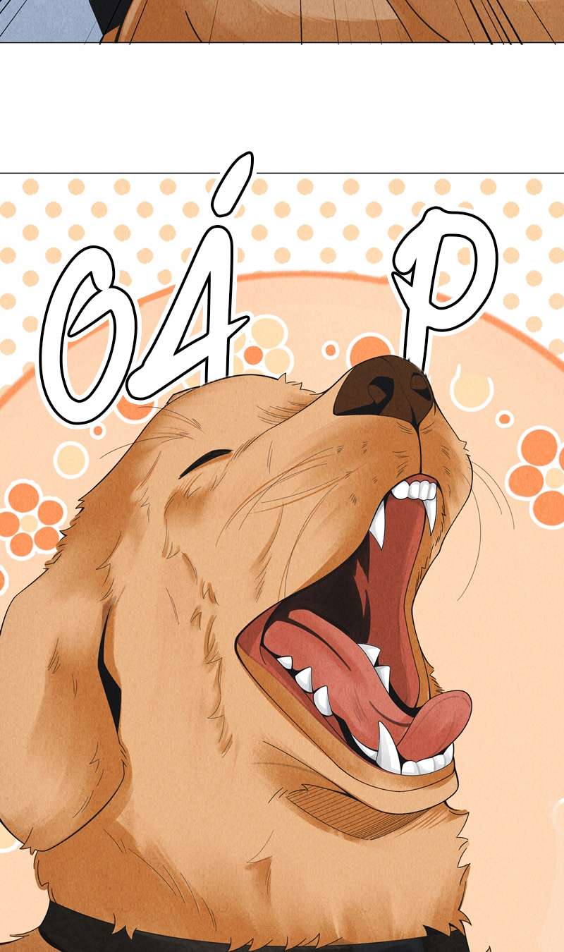 Dior Tiên Sinh Chap 76 - Trang 2