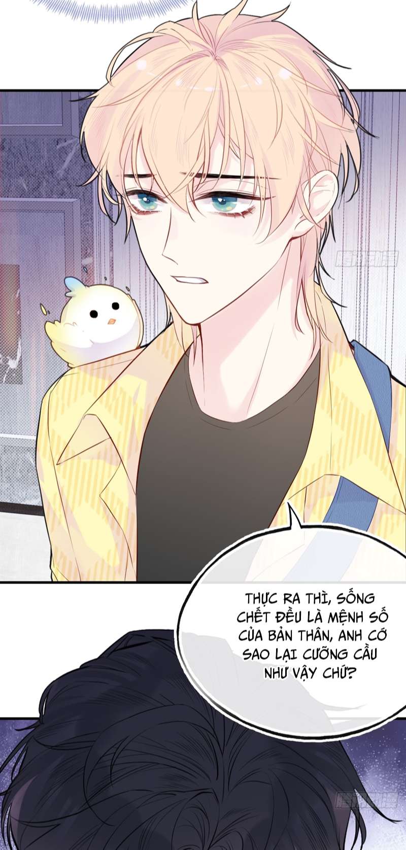 Anh Ấy Chưa Từng Rơi Xuống Chap 15 - Trang 4