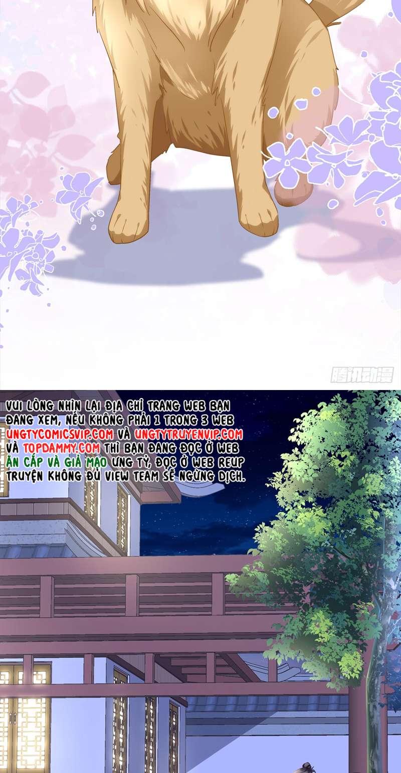 Hắc Hóa Đại Lão Thuần Dưỡng Chỉ Nam Chapter 74 - Trang 4