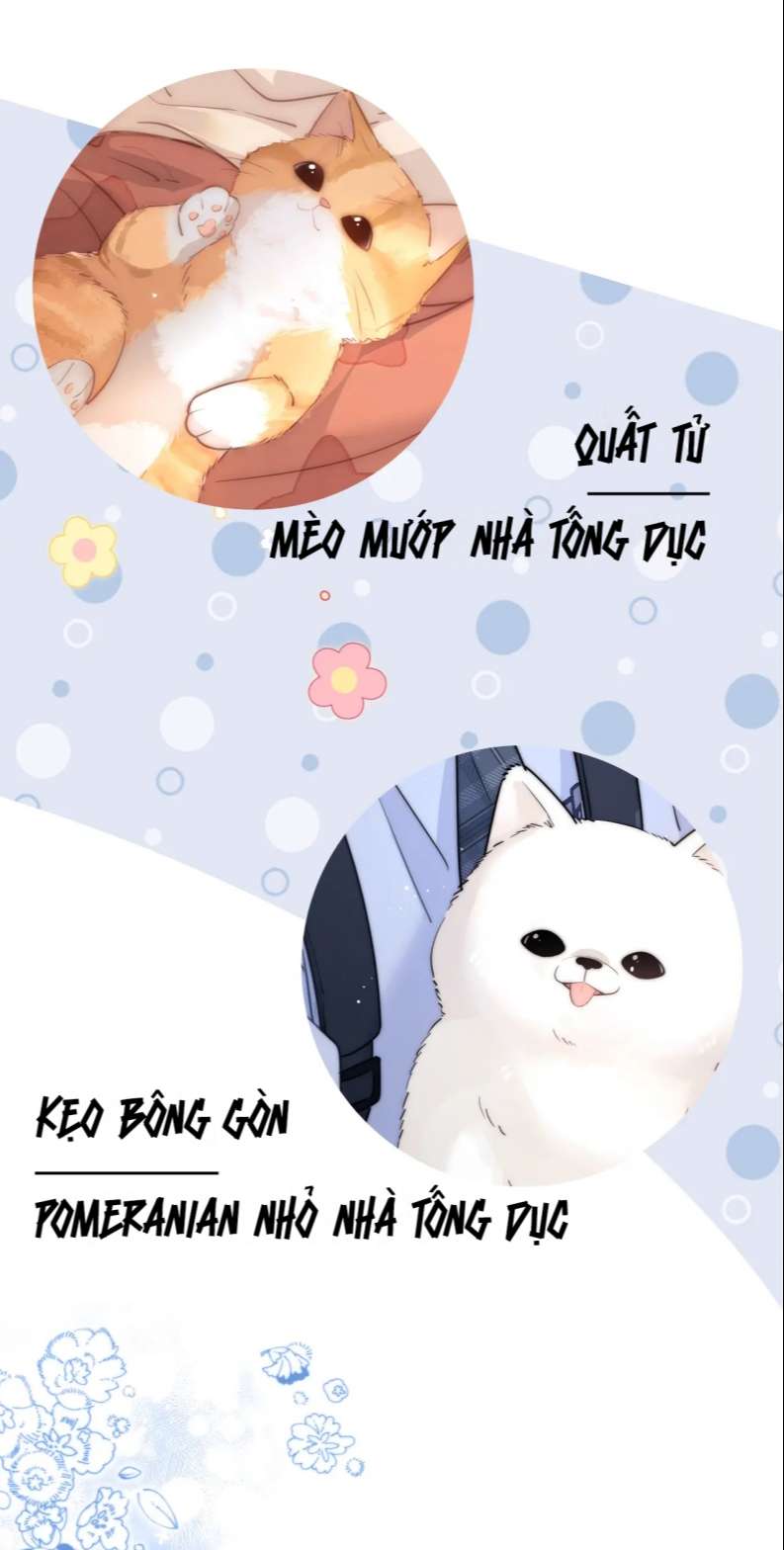 Chất Dị Ứng Đáng Yêu Văn Án - Trang 2