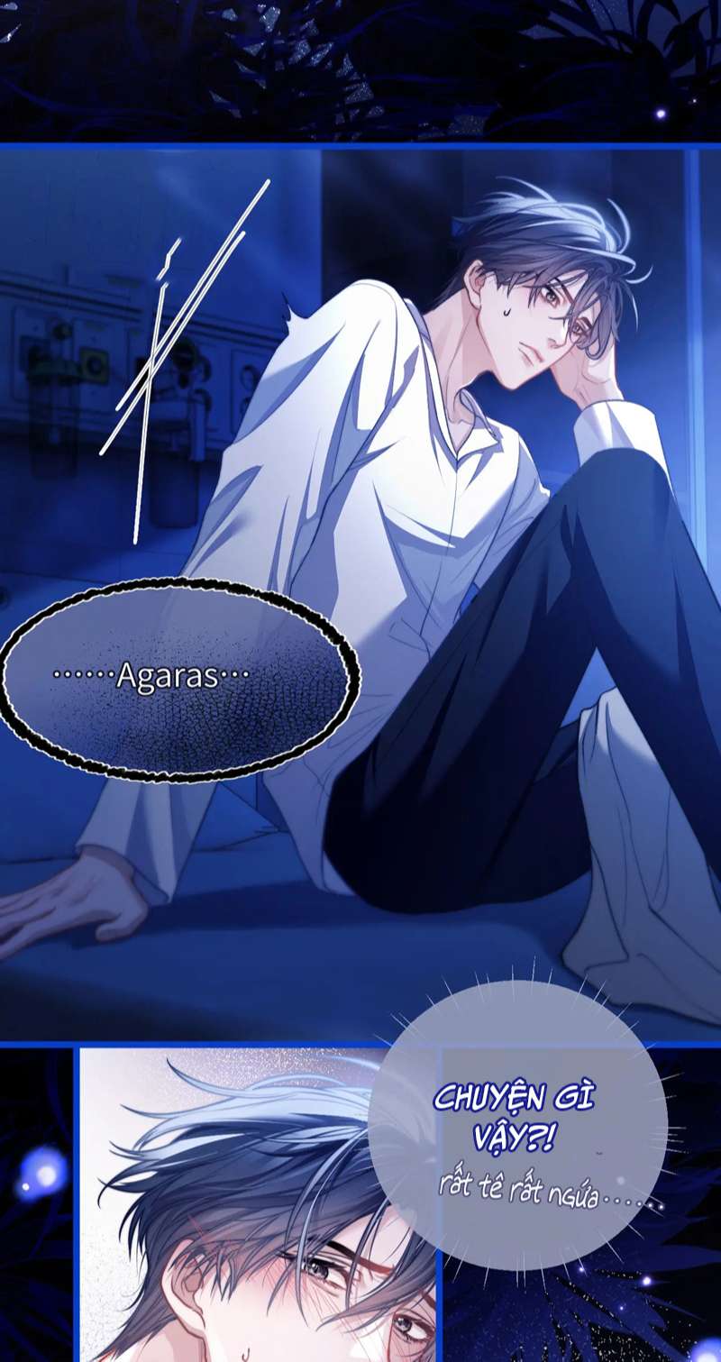 Desharow Nhân Ngư Chapter 13 - Trang 4