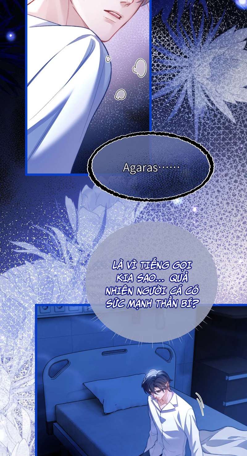 Desharow Nhân Ngư Chapter 13 - Trang 4