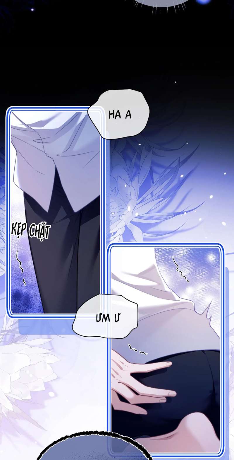 Desharow Nhân Ngư Chapter 13 - Trang 4