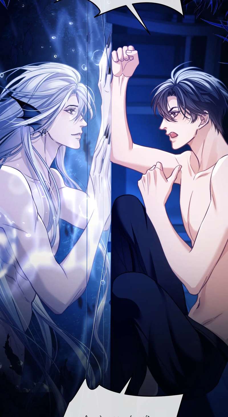 Desharow Nhân Ngư Chapter 14 - Trang 4