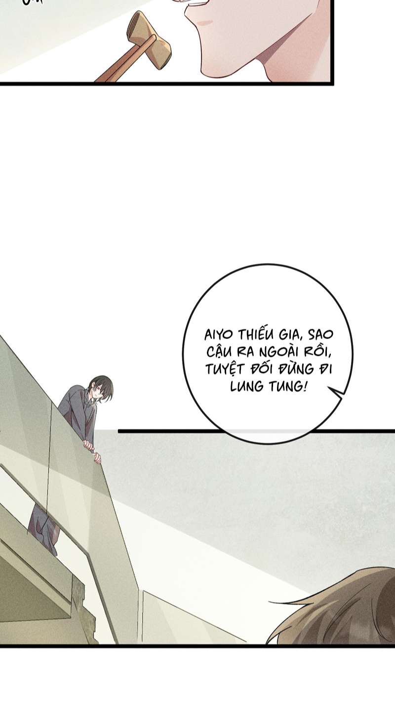 Xuyên Nhanh Chi Cải Tạo Bắt Đầu Lại Làm Người Chapter 62 - Trang 4