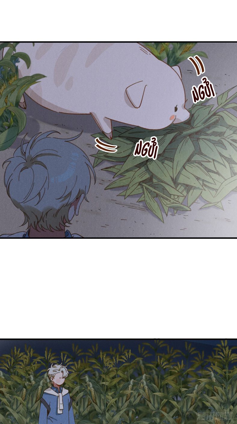 Tôi Không Cùng Anh Đến Vùng Đất Bắp Ngô Đâu! Chapter 4 - Next Chapter 5