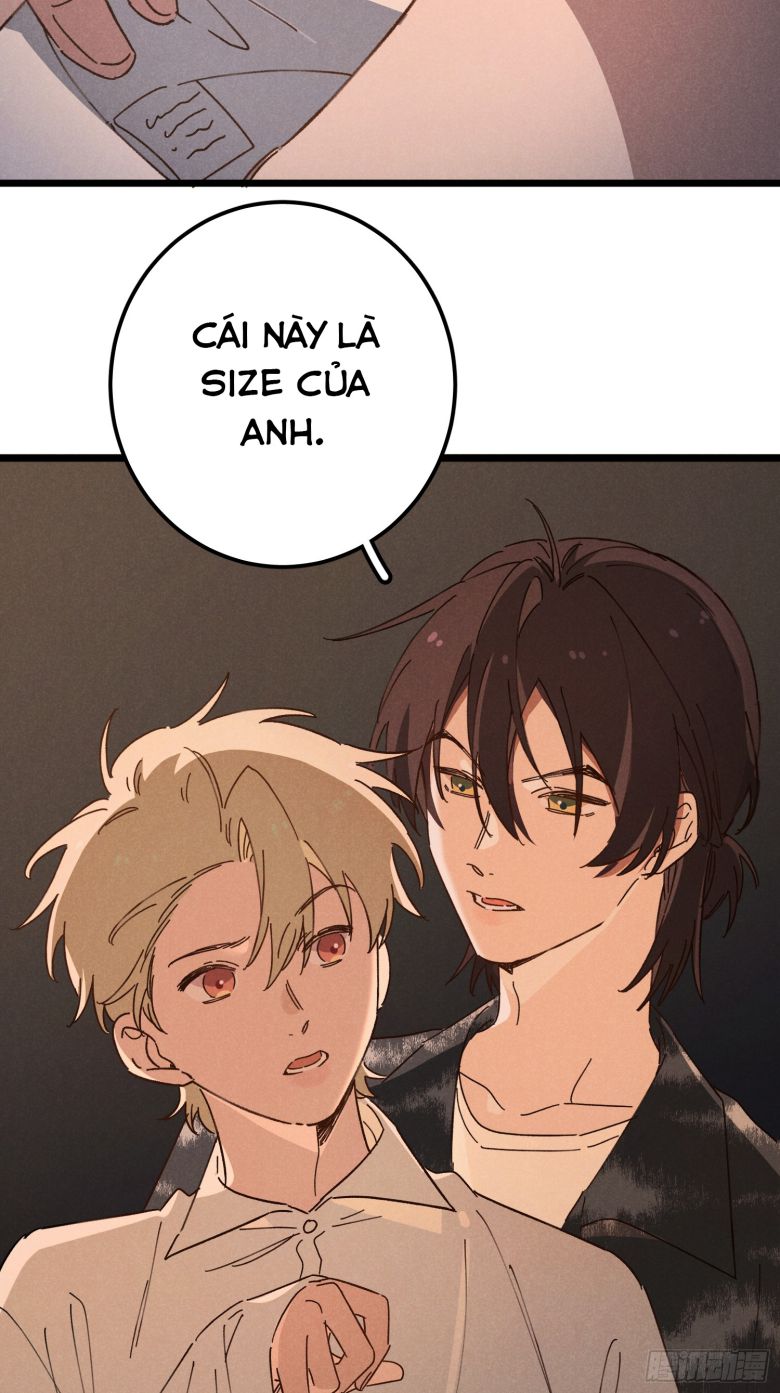 Tôi Không Cùng Anh Đến Vùng Đất Bắp Ngô Đâu! Phiên Ngoại 1 - Next Chapter 1