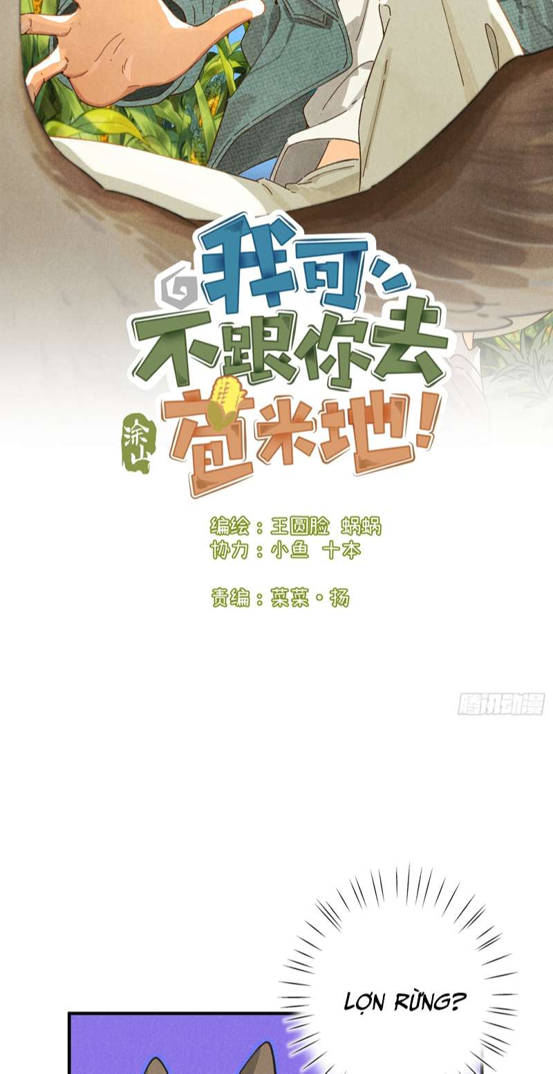 Tôi Không Cùng Anh Đến Vùng Đất Bắp Ngô Đâu! Chapter 6 - Next Chapter 7