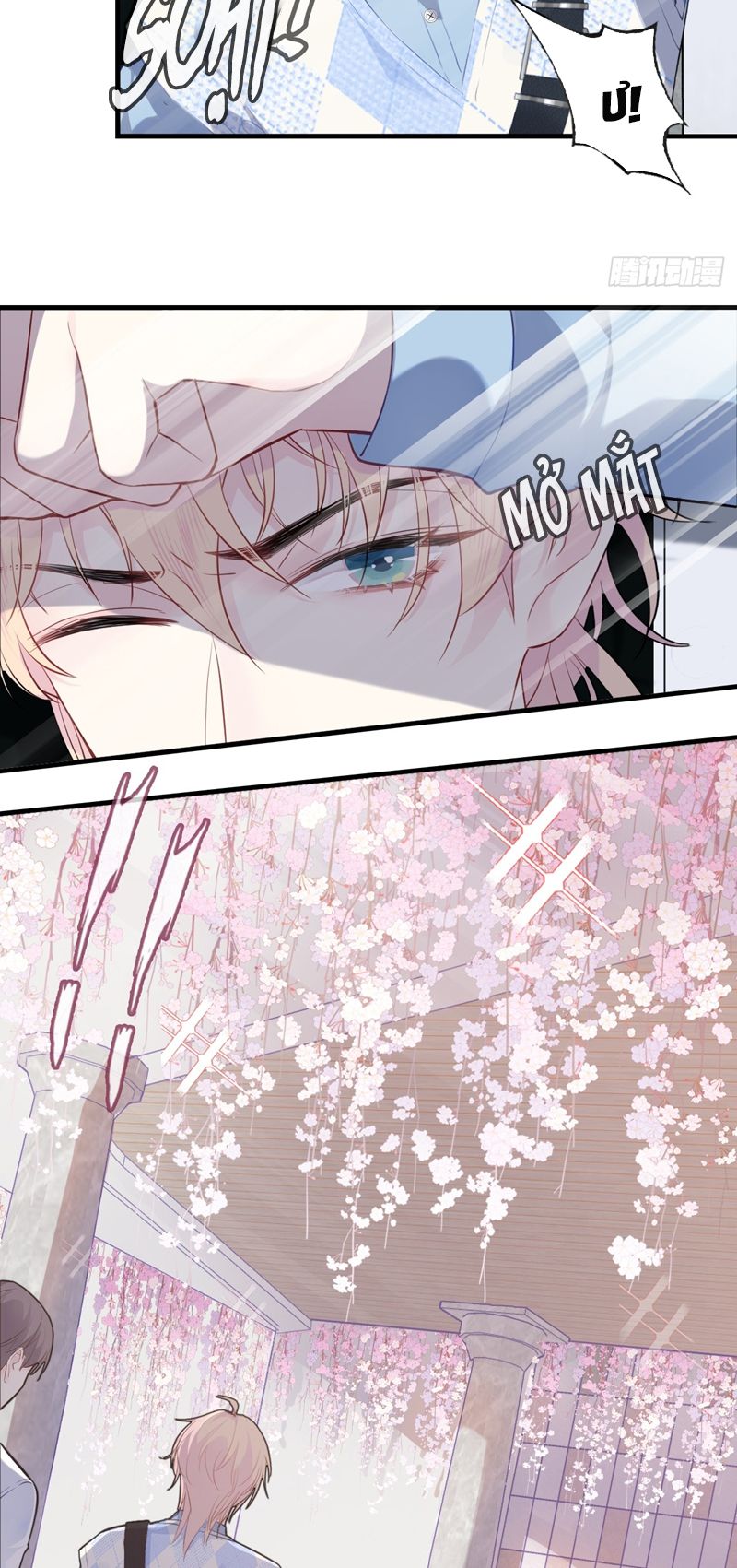 Anh Ấy Chưa Từng Rơi Xuống Chapter 31 - Trang 4