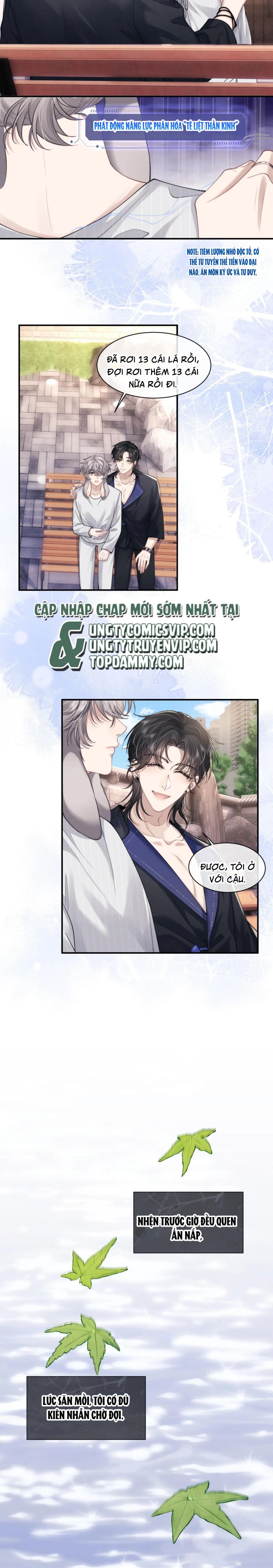 Chấp Sự Thỏ Cụp Tai Chapter 72 - Trang 4