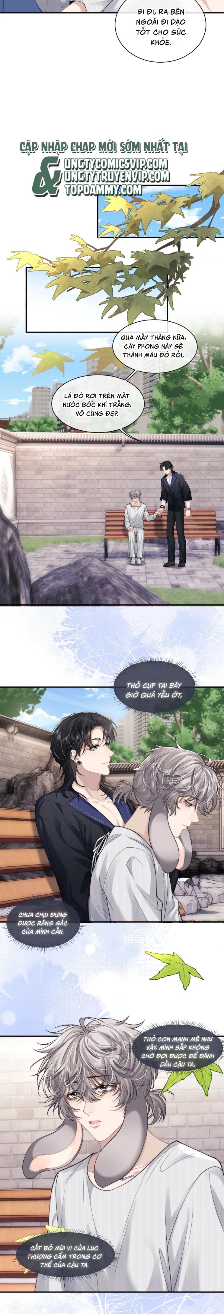 Chấp Sự Thỏ Cụp Tai Chapter 72 - Trang 4
