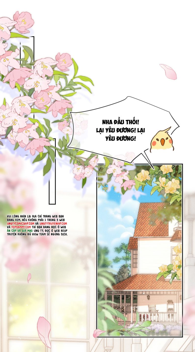 Ánh Trăng Vì Tôi Mà Đến Chapter 43 - Trang 4