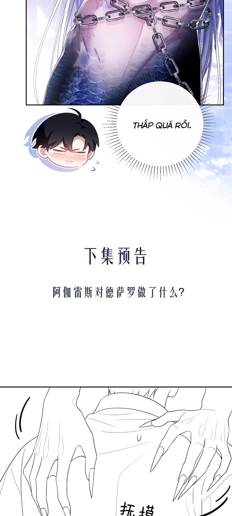 Desharow Nhân Ngư Chapter 26 - Trang 4