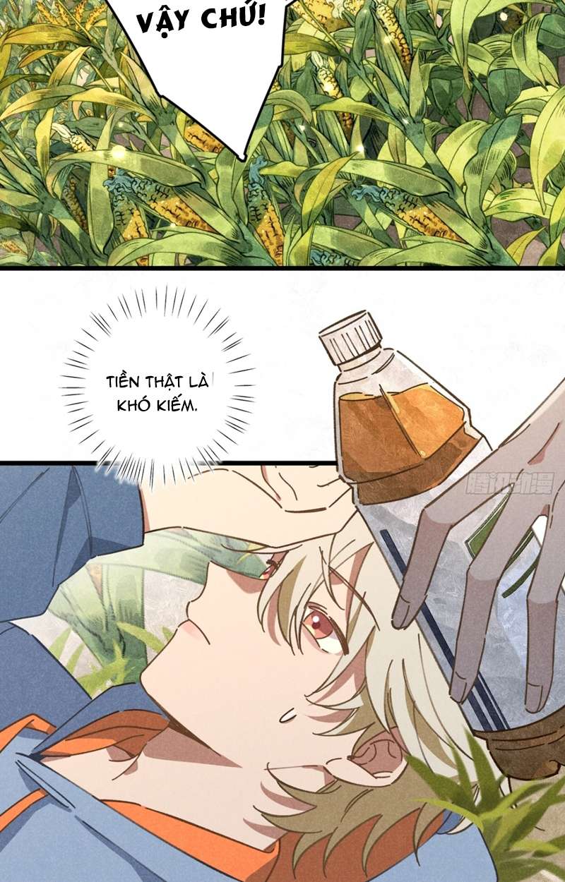 Tôi Không Cùng Anh Đến Vùng Đất Bắp Ngô Đâu! Chapter 19 - Next Chapter 20