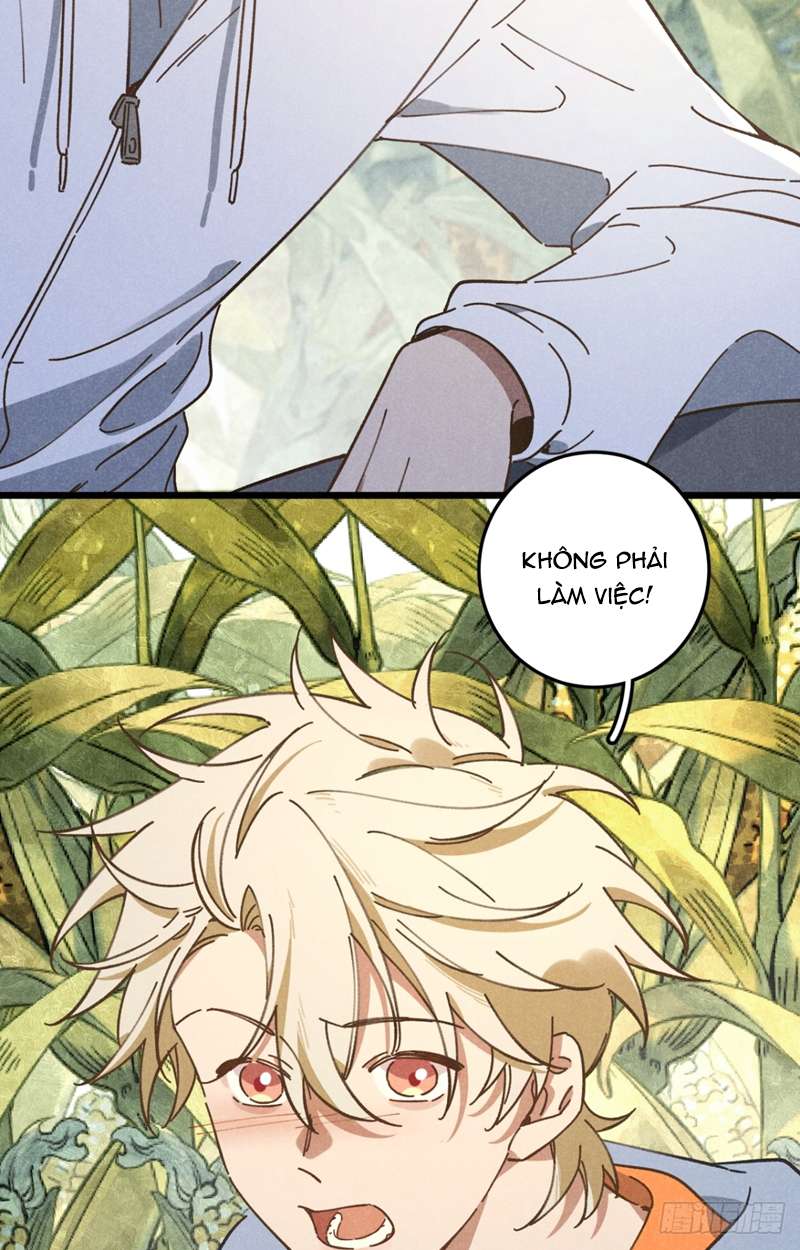Tôi Không Cùng Anh Đến Vùng Đất Bắp Ngô Đâu! Chapter 19 - Next Chapter 20
