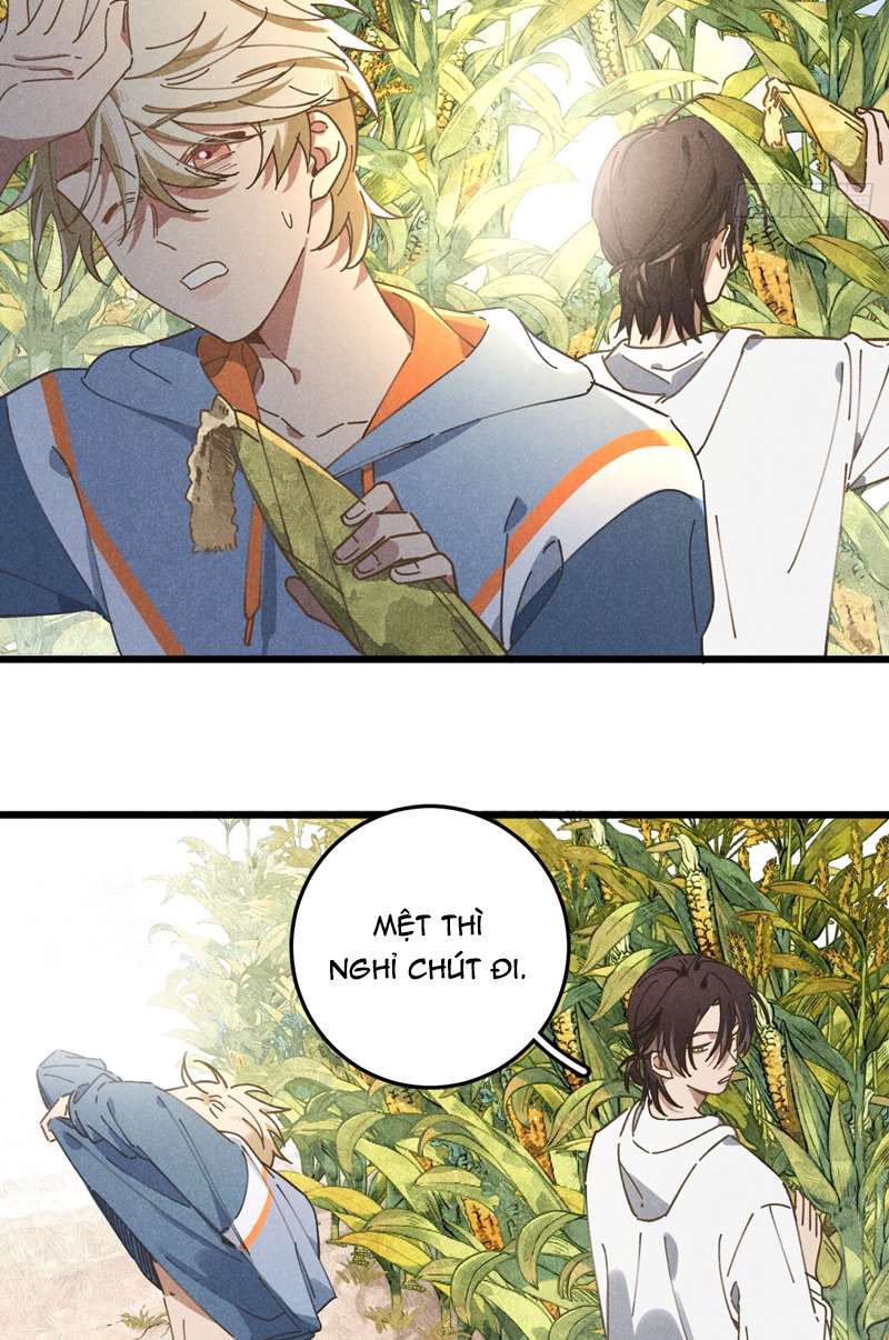 Tôi Không Cùng Anh Đến Vùng Đất Bắp Ngô Đâu! Chapter 19 - Next Chapter 20