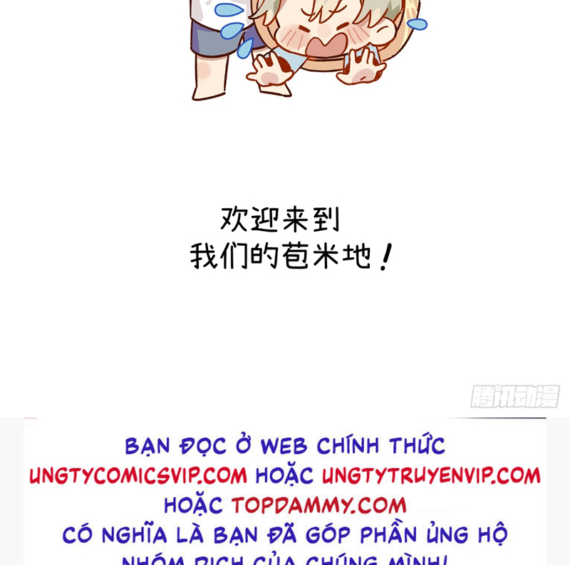 Tôi Không Cùng Anh Đến Vùng Đất Bắp Ngô Đâu! Chapter 20 - Next Chapter 21