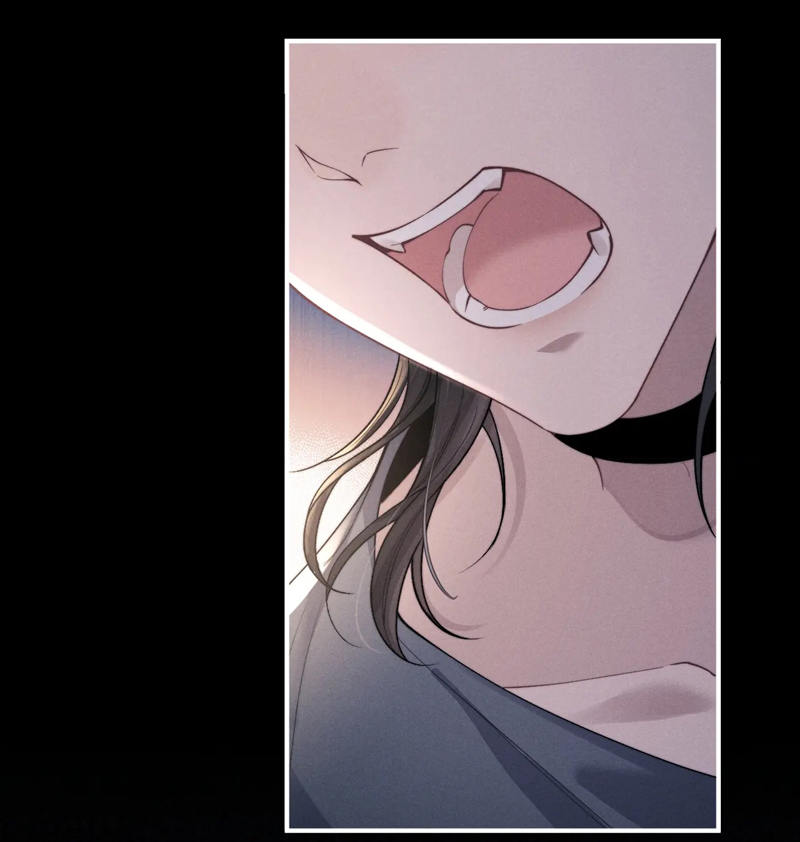 Chấp Sự Thỏ Cụp Tai Chapter 79 - Trang 4