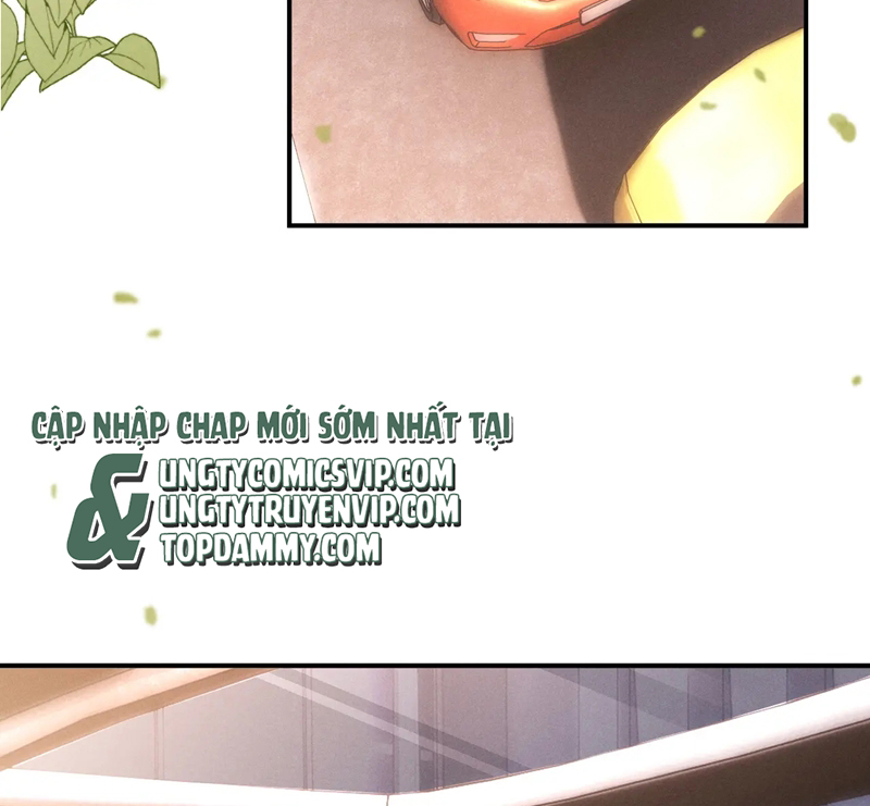 Chấp Sự Thỏ Cụp Tai Chapter 79 - Trang 4