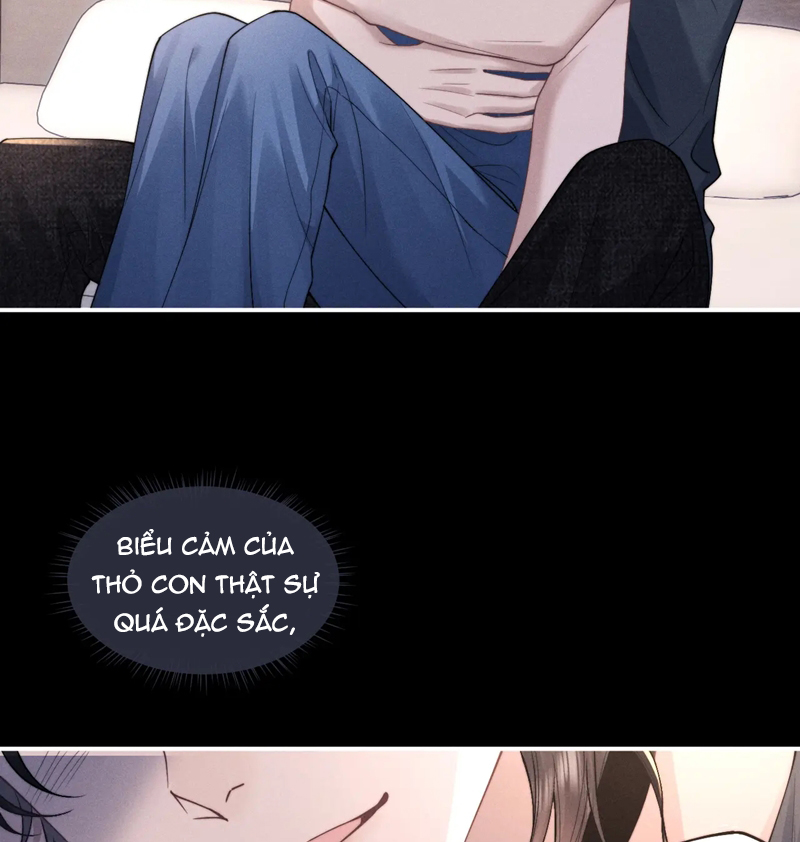 Chấp Sự Thỏ Cụp Tai Chapter 79 - Trang 4