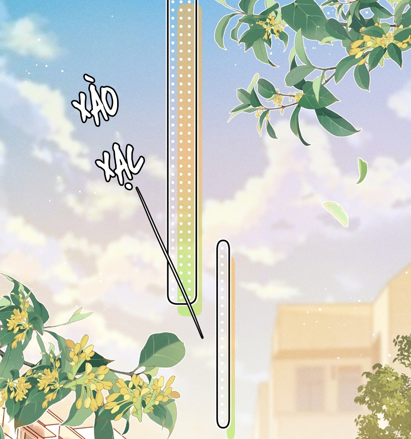 Ánh Trăng Vì Tôi Mà Đến Chapter 47 - Trang 4