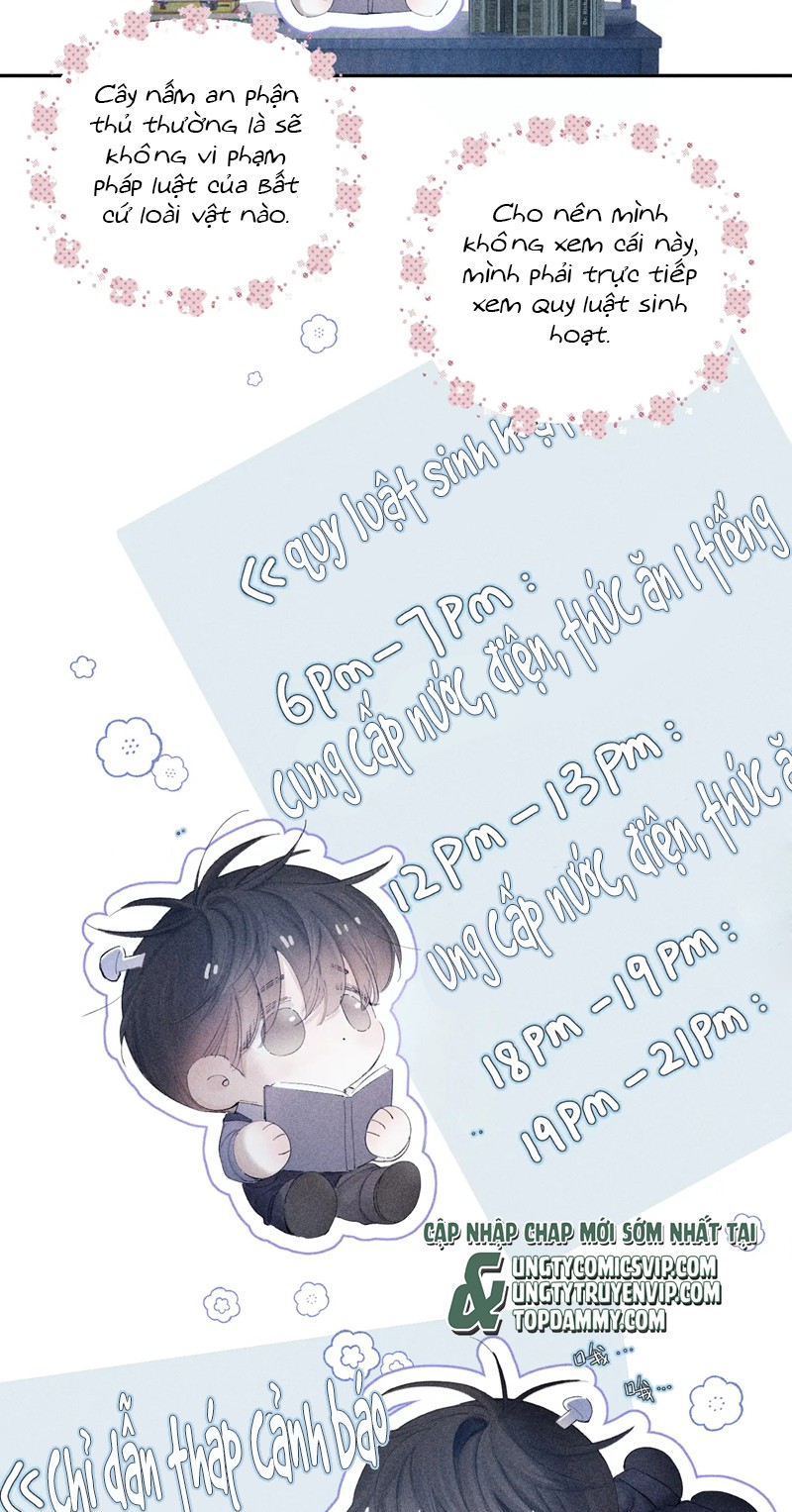 Cây Nấm Nhỏ Chap 12 - Trang 4