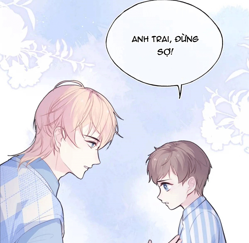 Anh Ấy Chưa Từng Rơi Xuống Chapter 45 - Trang 4