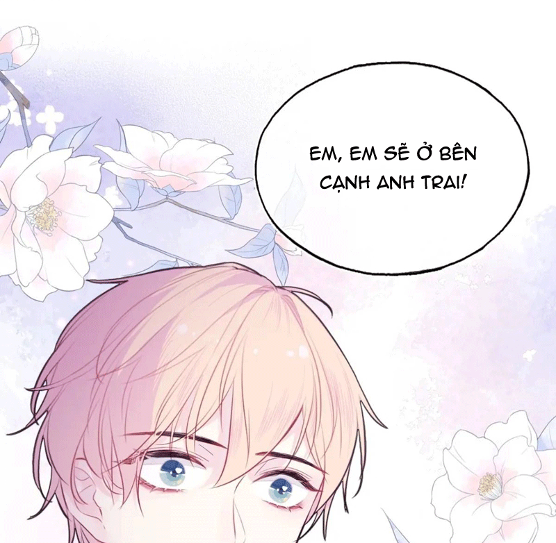 Anh Ấy Chưa Từng Rơi Xuống Chapter 45 - Trang 4
