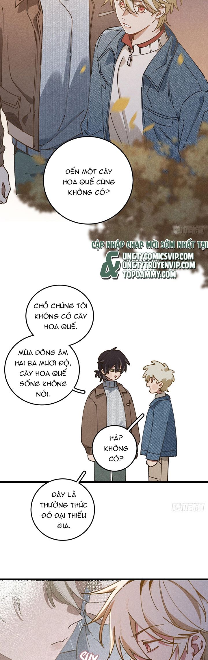 Tôi Không Cùng Anh Đến Vùng Đất Bắp Ngô Đâu! Chapter 25 - Next Chapter 26