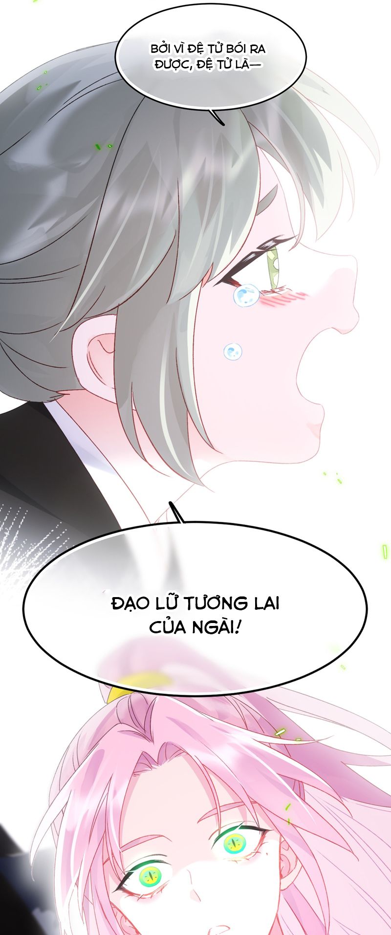 Tôi Phải Làm 1 Kẻ Đại Xấu Xa Chapter 117 - Trang 4