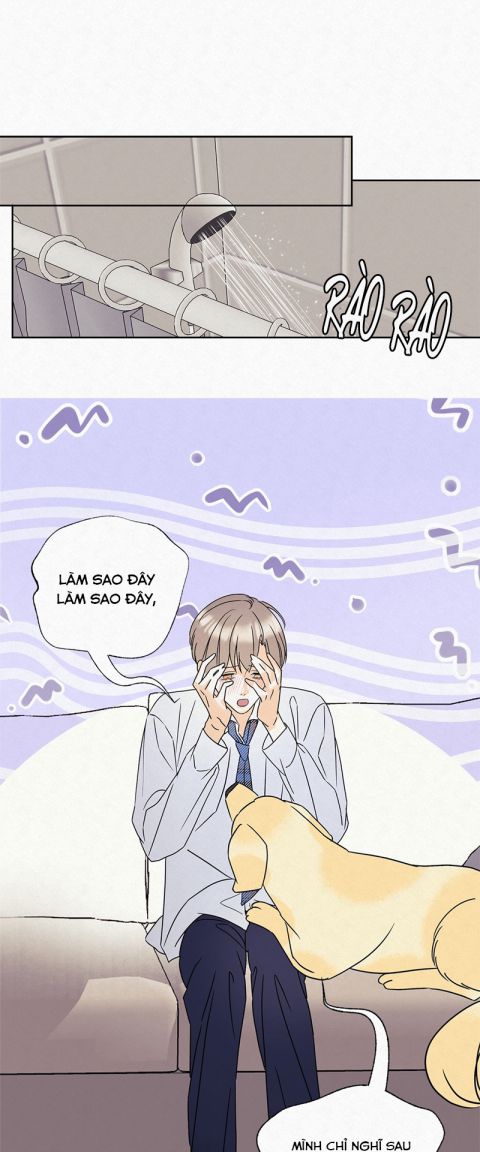 Anh Trai Tiện Lợi Của Tôi Chap 9 - Trang 3