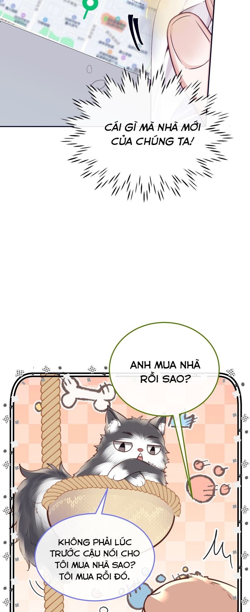 Tổng Tài Định Chế Tư Nhân Chapter 81 - Trang 4