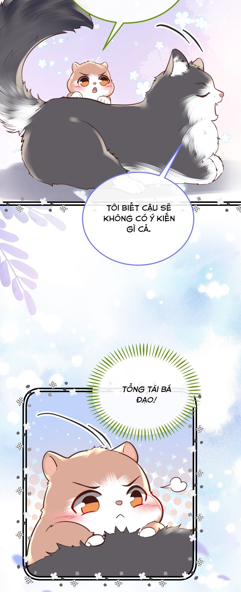 Tổng Tài Định Chế Tư Nhân Chapter 81 - Trang 4