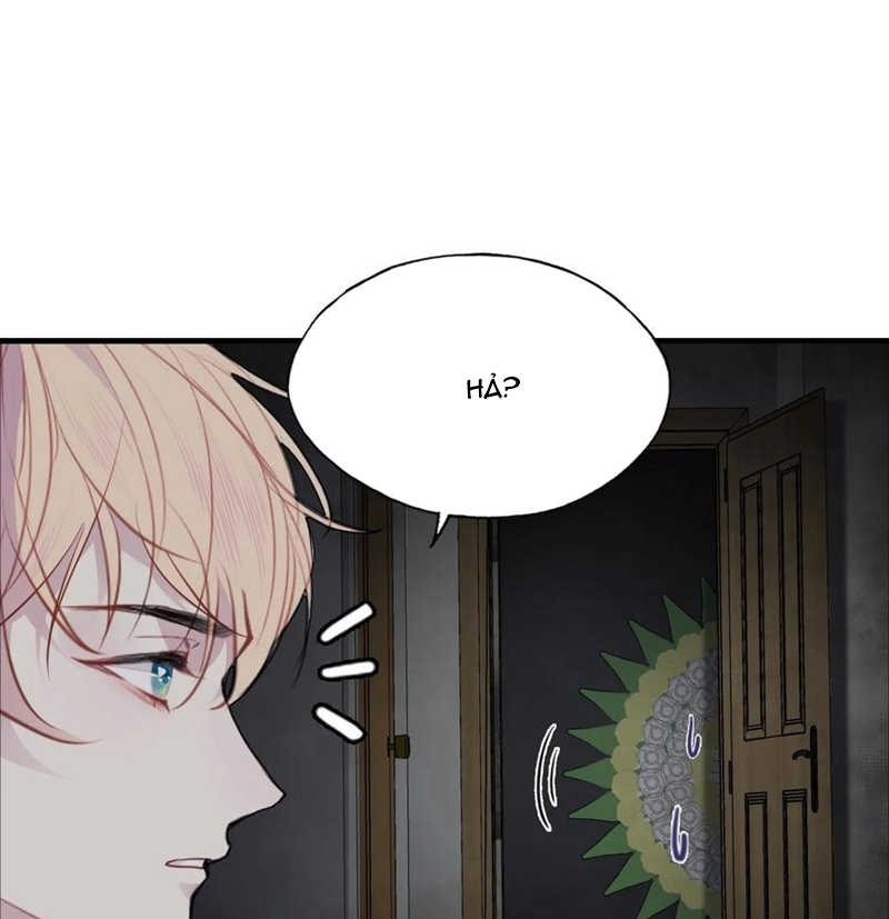 Anh Ấy Chưa Từng Rơi Xuống Chap 52 - Trang 2