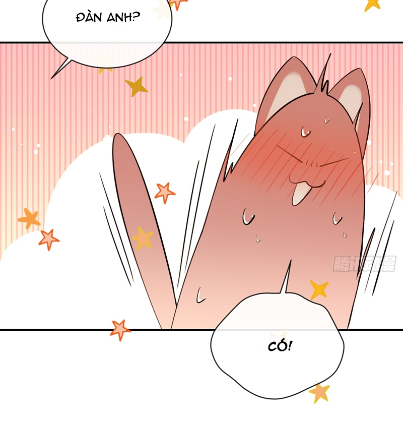 Chó Lớn Bắt Nạt Chủ Chapter 72 - Trang 3