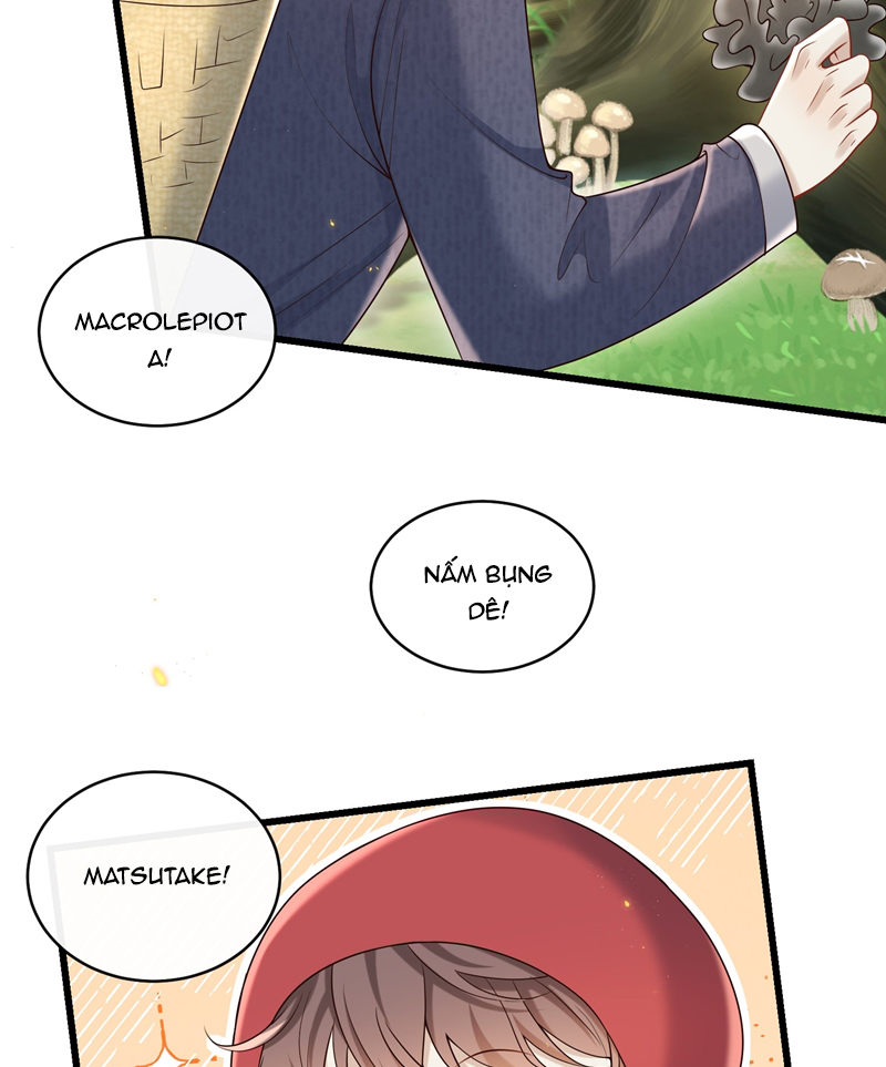 Anh Ấy Đến Từ Màn Đêm Chap 39 - Trang 4