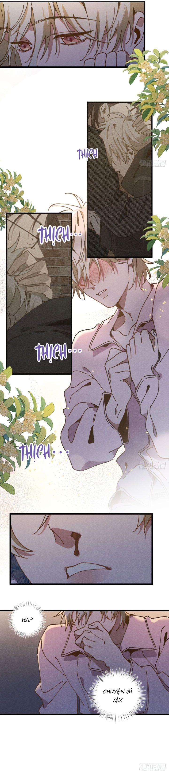Tôi Không Cùng Anh Đến Vùng Đất Bắp Ngô Đâu! Chapter 34 - Next Chapter 35