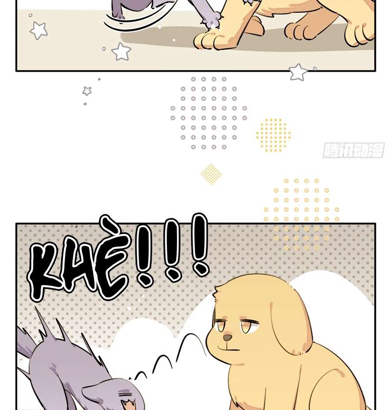 Chó Lớn Bắt Nạt Chủ Chapter 75 - Trang 3