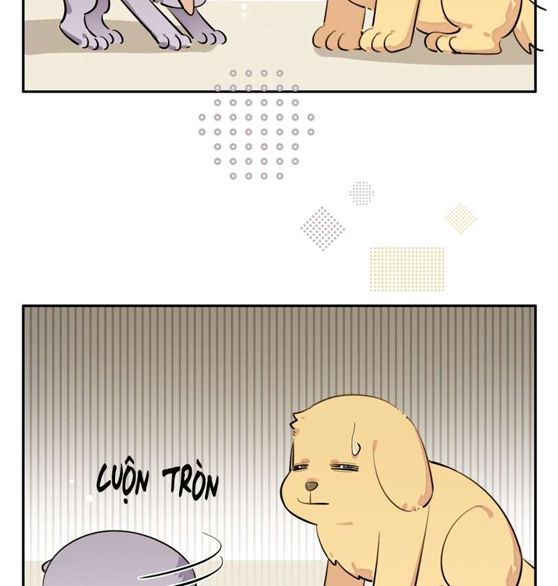 Chó Lớn Bắt Nạt Chủ Chapter 75 - Trang 3