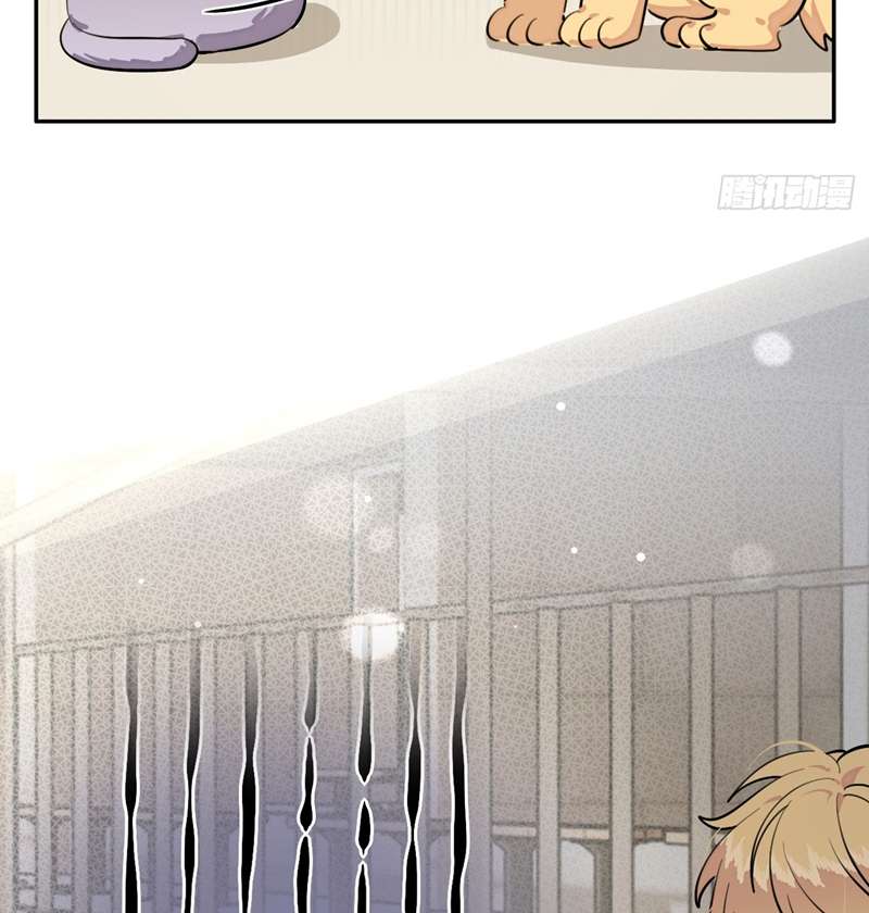 Chó Lớn Bắt Nạt Chủ Chapter 75 - Trang 3