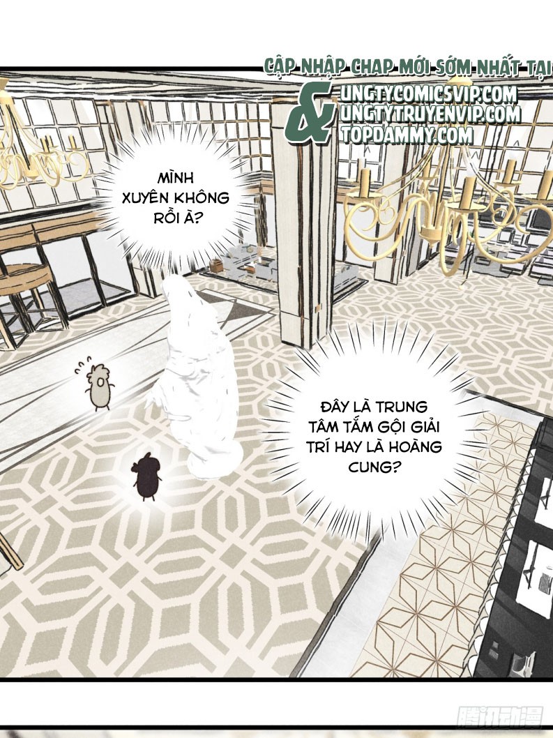 Tôi Không Cùng Anh Đến Vùng Đất Bắp Ngô Đâu! Chapter 38 - Trang 4
