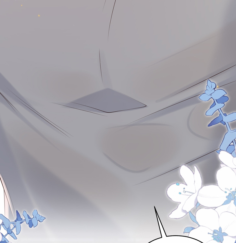 Anh Ấy Đến Từ Màn Đêm Chapter 43 - Next Chapter 44